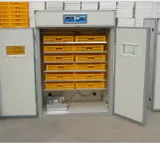 Incubateur à œufs 500 œufs Avec Taux D'éclosion De 95% Retournement Automatique 220v Utilisation à La Ferme Pour émeus Et Oies -
