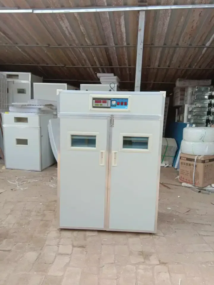 Incubateur à œufs 500 œufs Avec Taux D'éclosion De 95% Retournement Automatique 220v Utilisation à La Ferme Pour émeus Et Oies -