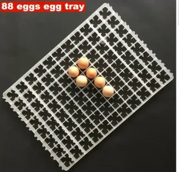 Plateau à œufs En Plastique De Haute Qualité,Capacité 88 œufs De Poule